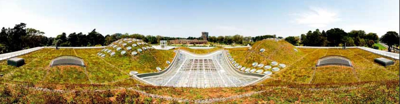 加州科學(xué)院