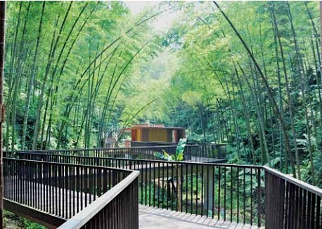 藏竹？醒竹！——貴州赤水竹海國(guó)家森林公園入口景觀建筑體